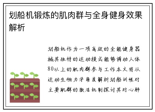 划船机锻炼的肌肉群与全身健身效果解析